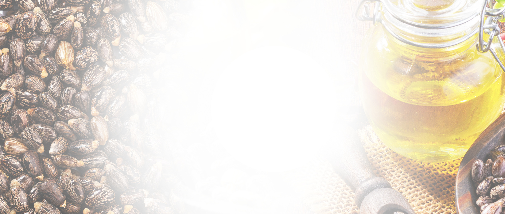 Diapositiva BiooFnix