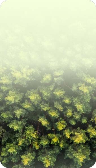 Muvit deslizante para el cambio