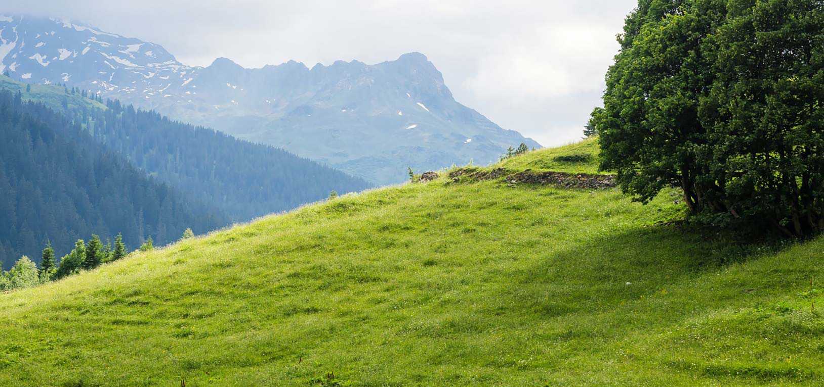 Slide Muvit For Change