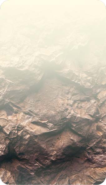 Slide Tiger by Muvit