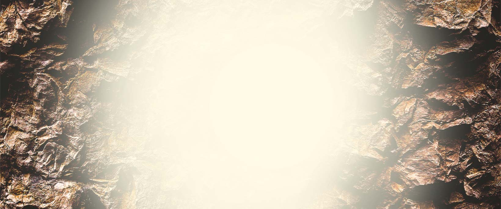 Slide Tiger by Muvit