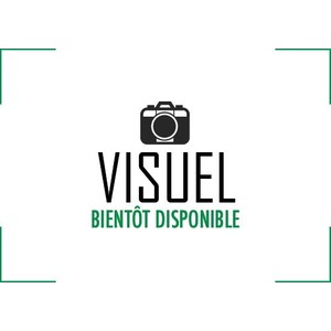 COQUE SOUPLE TRANSPARENTE HONOR X8 4G/5G